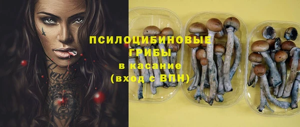 ПСИЛОЦИБИНОВЫЕ ГРИБЫ Абаза