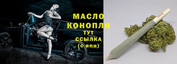 прущие грибы Няндома