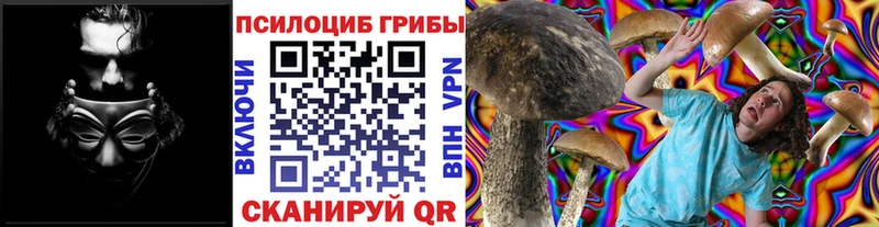 Псилоцибиновые грибы MAGIC MUSHROOMS  купить наркотики цена  блэк спрут рабочий сайт  Пучеж 